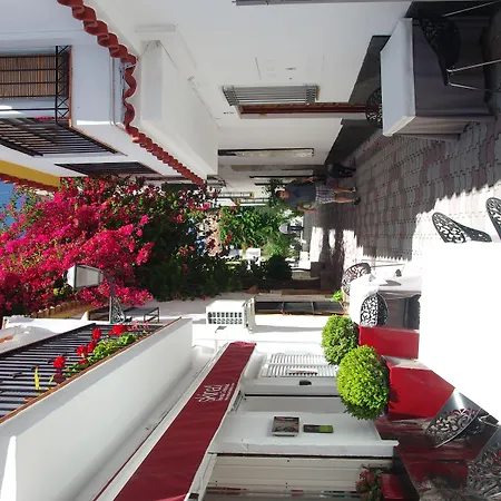 Aduar * 마르베야