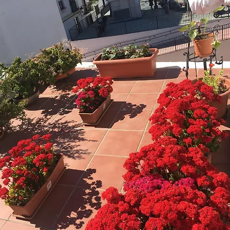 Aduar Gasthof Marbella