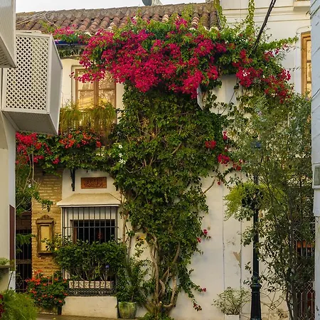Aduar Mini-hôtel Marbellac